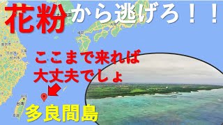 【多良間島 ダイビング】鼻づまりから解放されて超快適！！石垣島と宮古島の間に浮かぶ離島の海中の景色とビーチと宿をご紹介