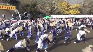 須賀IZANAI連「月カムナガラ」よっちょれ！よさこい2015