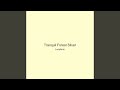 Tranquil Forest Silver
