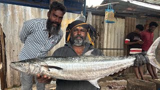 VANJARAM FISH CUTTING🦈🗡🔥 KASIMEDU VM FISH CUTTING ⚡️