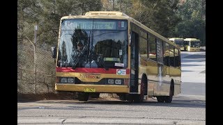 CDC Hillsbus [Northmead] Mercedes-Benz O405 / Custom Coaches 510, m/o 7627