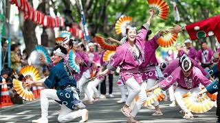 Deer Causing Road Chaos | Sendai Aoba Festival