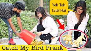 Grab My Pigeon Prank | Funny Reactions @That Was Crazy