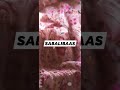 kashmiri heavy embroidery saree