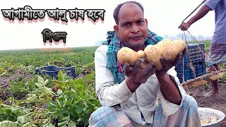 এবার আলু চাষ করে কৃষক খুশি।। আগমীতে আলু চাষ হবে দিগুন ।। potato cultivation