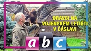 Dravčí zásahovka na vojenském letišti ochraňuje Gripeny