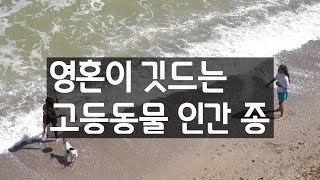 영혼이 깃드는 고등 동물 인간 종 I 인체