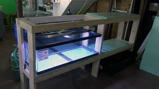 How To DIY Dado Cut 60 Breeder Aquarium Stand Build