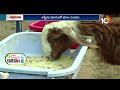 శాస్త్రీయ విధానంలో జీవాల పెంపకం sheep and goat farming with scientific methods matti manishi