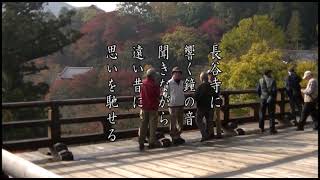 ＜奈良②＞花の御寺 長谷寺＆女人高野 室生寺「御朱印 短歌紀行」うたひこＣＨ・2210a1・