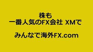 XMで株を始める方法 / みんなで海外FX.com【海外FX】