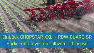 Row-crop cultivator \u0026 camera steering: EINBÖCK CHOPSTAR XXL + ROW-GUARD SR