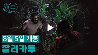 [영화의전당] 잘리카투 예고편 (8월 5일 개봉!!)