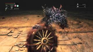 Bloodborne™ The Old Hunters Edition_20160409230449　血源詛咒　武器　實測　洛格力斯轉輪打令人憎惡怪獸