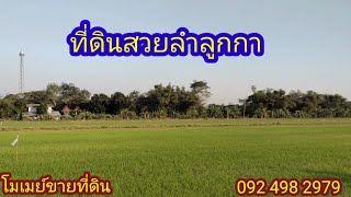 ที่ดินแบ่งขายคลอง12 ลำลูกกา ปทุมธานี โฉนดพร้อมโอน |โมเมย์ขายที่ดิน