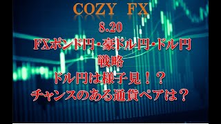 8.20 FXポンド円・豪ドル円・ドル円戦略ドル円は様子見！？チャンスのある通貨ペアは？