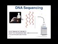 W29: Hidden Surprises and Illumina Sequencing – Day 1