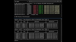 SQLite & Real-Time Bitcoin Trading: Build a Pro-Level Data Pipeline in Minutes!