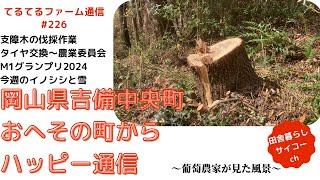 2024年12月14日号。支障木の伐採作業。タイヤ交換〜農業委員会。M1グランプリ2024。今週のイノシシと雪。