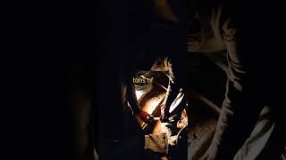 Stopping The Generator #chrisboden #comedy #powerplant #hydropower #engineering #job #work #fun