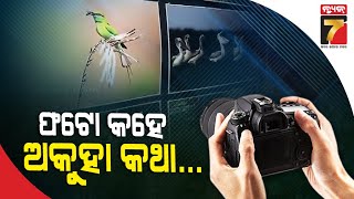 ବିଶ୍ୱ ଫଟୋଗ୍ରାଫି ଦିବସରେ ଫଟୋ ପ୍ରଦର୍ଶନୀ, ୮୦ ପ୍ରତିଯୋଗୀଙ୍କ ୨ ଶହରୁ ଅଧିକ ଫଟୋ ସ୍ଥାନିତ |World Photography Day