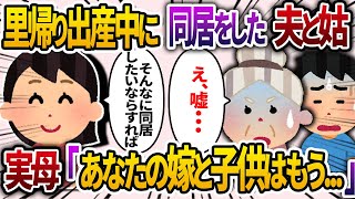 里帰り出産中に同居を始めた姑とマザコン夫「文句あるなら離婚なww」→実母「あなたの嫁と子供はもう...」【2chスカッと・ゆっくり解説】