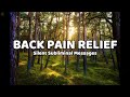 Back Pain Relief - 528 Hz Silent Subliminal Messages - Say Goodbye to Back Pain – THE NATURAL WAY!