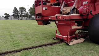 Sports Field Sanding and Compaction