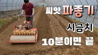 씨앗 파종기!! 시금치 파종 200평 10분 이면 끝 #월동시금치