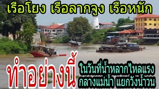 เรือโยงเรือลากจูงเรือหนักทำแบบนี้ในวันที่น้ำหลากไหลแรงกลางแม่น้ำเจ้าพระยาแยกวังน้ำวน