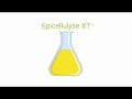 Epicellulyse XT-Pilot Plant