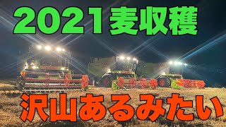 2021麦収穫　音更町　CLAAS