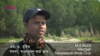 Birds Survey of Bangladesh - เฆฌเฆพเฆเฆฒเฆพเฆฆเงเฆถเงเฆฐ เฆชเฆพเฆเฆฟเฆถเงเฆฎเฆพเฆฐเง เฆคเฆฅเงเฆฏเฆเฆฟเฆคเงเฆฐ