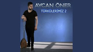 Aydan Güzel