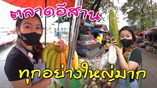 ตลาดสดสตึก อาหารอีสานพื้นบ้านทุกอย่างใหญ่มาก! I กู๊ดเดย์ บุรีรัมย์ EP6 I Countryside Market