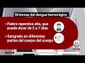 síntomas del dengue clásico y hemorrágico