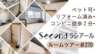 【ルームツアー】南向きバルコニー、ペット可、リフォーム済み、都市ガス、オートロック/Secondラシアール　801