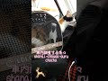 【車内調査ドキドキ猫】三毛猫が病院以外で初めてのドライブ。しかも車内調査のオプション付きがコチラ。 保護猫