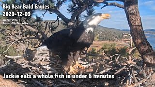 Big Bear Eagles🦅Jackie Eats A Whole Fish In Under 6 Minutes🐟🕕2020-12-09