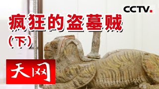 《天网》王级大墓武王墩古墓被盗 倒卖文物的“终极大佬”是谁？ （下）| CCTV社会与法