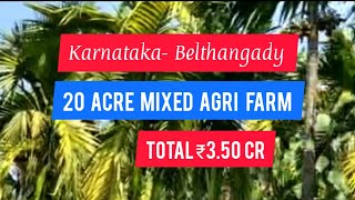 20 Acre Mixed Agri Farm For Sale | Belthangady | Karnataka (3.50 Cr)