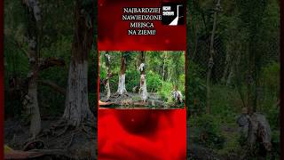 NAJBARDZIEJ NAWIEDZONE MIEJSCA NA ZIEMI [3] - Aokigahara #historia #scarystories #history