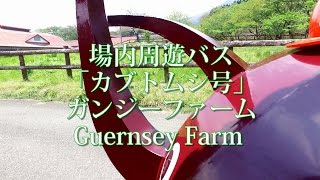 場内周遊バス 「カブトムシ号」 ガンジーファーム Guernsey Farm