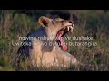 abantu benshi_video_lyrics by waiters_family_choir_bukanda_sda