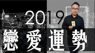 【奧斯塔羅】2019運勢大解析｜戀愛運勢｜Love fortune of 2019