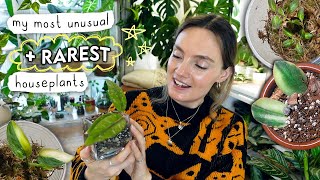 The Most UNUSUAL + Rare Plants In My Collection 🌿