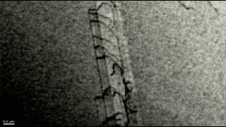 Dislocation motion through a defect field