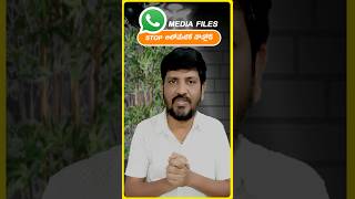 How to stop automatic downloading of media files on WhatsApp  #whatsapp #trendingshorts #whatsapp