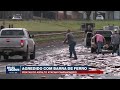 caminhoneiro é agredido com barra de ferro na régis bittencourt brasil urgente