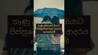 ගැහැනු ලමයෙක් ඔයාට  පිස්සුවෙන් වගේ ආදරය කරනවනම්....❤️❤️😍#sinhala #trending #trendingshorts